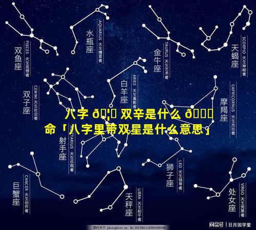 八字 🦄 双辛是什么 🐞 命「八字里带双星是什么意思」
